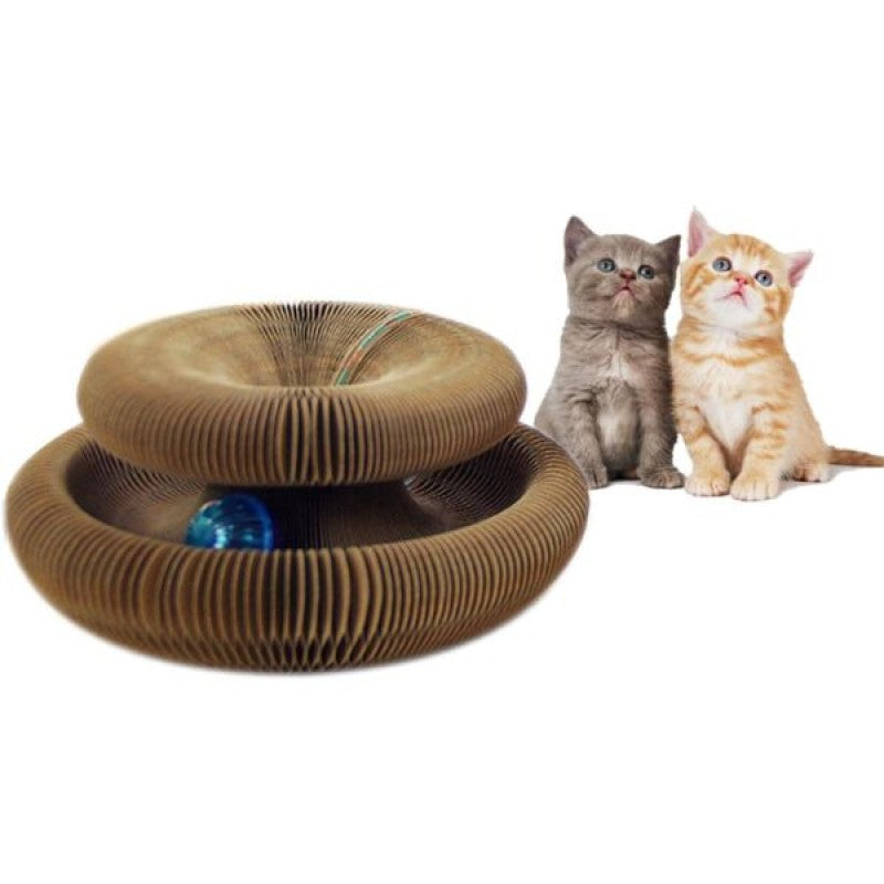Pati Spin™ Eğitici  Oyuncak