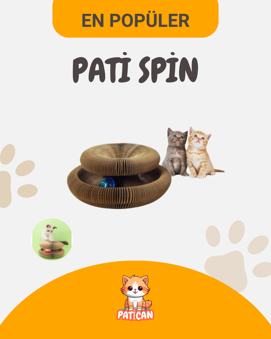 Pati Spin™ Eğitici  Oyuncak
