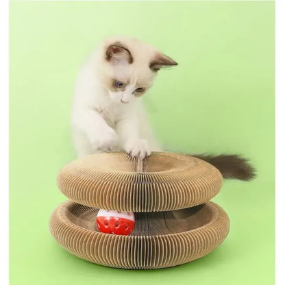 Pati Spin™ Eğitici  Oyuncak